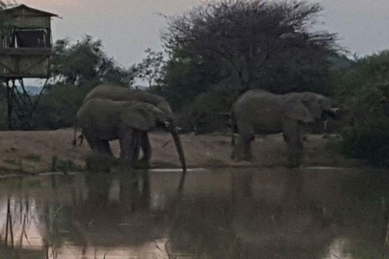 Kubu Khaya Mabalingwe Villa Mabula Game Reserve Екстериор снимка